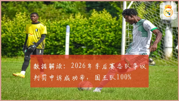 数据解读：2026年季后赛各队争议判罚申诉成功率，国王队100%