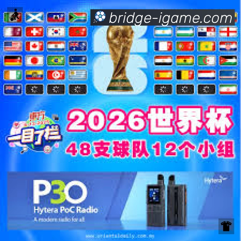 结构优化认证展示